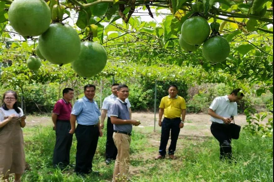 ΢��ͼƬ_20191205105413