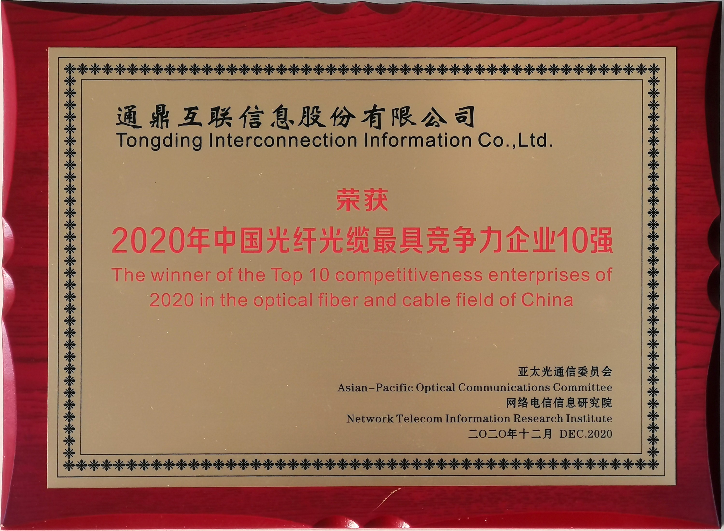 34-20201216�й����˹�����߾�������ҵ10ǿ
