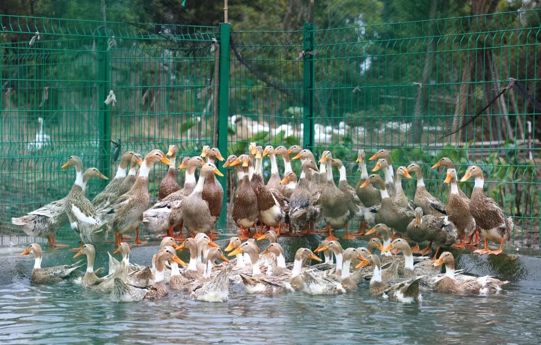 0824d79ef42b1587ca09ca1bca5961a2