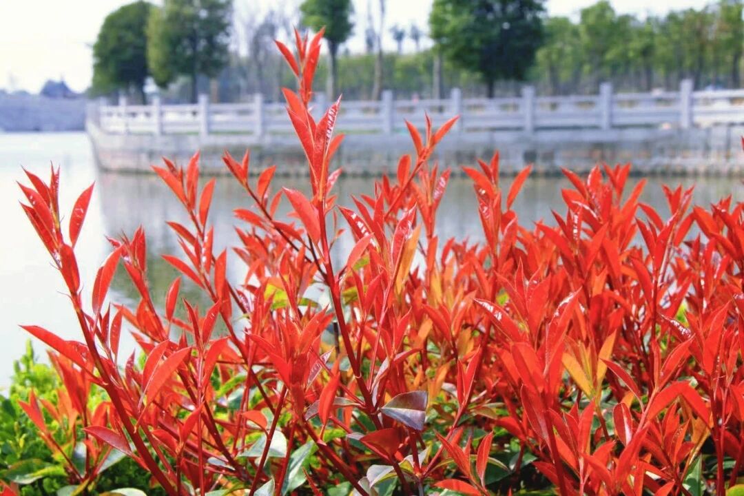 153fa6186508082aee2b26e3c48358a2