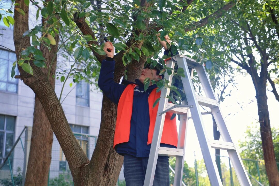 540ecf5c1be73115b27b9c62ff003434